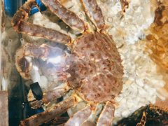 帝王蟹-盒马鲜生(顺义店)