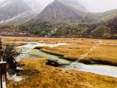 -稻城亚丁景区-冲古草甸
