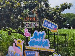 -乌村
