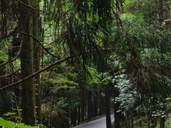 -山王坪喀斯特国家生态公园
