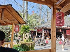 -青城甲(青城山店)