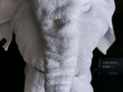 -青岛海尔洲际酒店