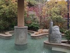 -太白山御龙湾温泉