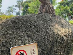 -胡里山炮台