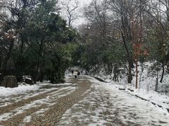 -紫金山山顶公园