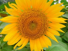 -奥林匹克森林公园北园-停车场