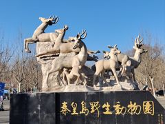 -秦皇岛野生动物园