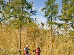 -溱湖国家湿地公园