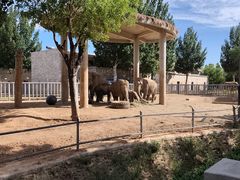 -石家庄市动物园