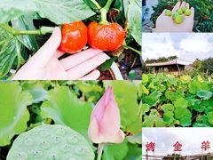 -天怡·鱼工厂(临江店)