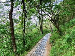 -紫金山山顶公园