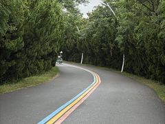 -日照海滨国家森林公园