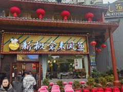 -新概念来凤鱼(璧山店)