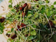 -华盛园卷子王农家菜水库鱼