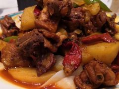 -巴依老爷新疆美食(望京小街店)