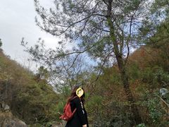 -木兰云雾山