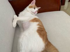 -北京赛佳动物医院