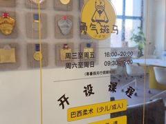 -勇气斑马·巴西柔术&跆拳道(浦东三林店)