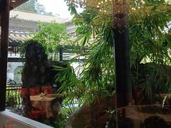 -荔湾湖公园