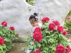 -石家庄市植物园