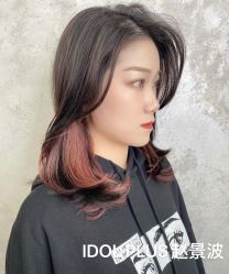 -IDOL-PLUS
