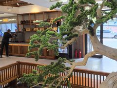 -高玛纳驴肉火烧(河间总店)