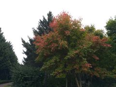 -长春市南湖公园