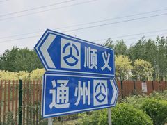-东郊湿地公园