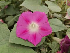 -桤木河湿地公园