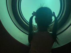 -白鹤梁水下博物馆