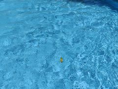 -重庆海昌加勒比海水世界