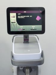 -八大处整形