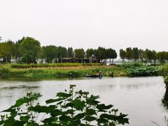 -金银湖国家城市湿地公园