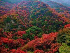 -黄花溪