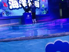-石家庄海洋公园
