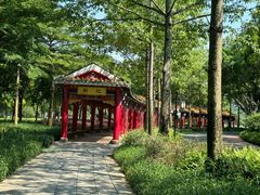 -顺峰山公园
