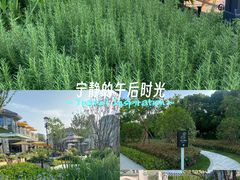 -阳澄湖半岛旅游度假区