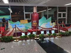 -石家庄正定国际机场-T2航站楼