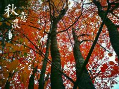 -北海道厅旧本厅舍(旧本庁舎)