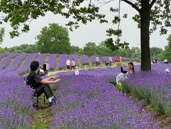 -季高兔窝窝亲子园(上海薰衣草公园店)