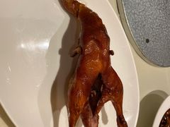 -利苑酒家(合景国际金融广场店)