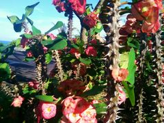 -金巴兰海滩烛光bbq