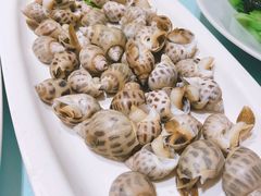 -高佳庄·舟山海鲜(海景旗舰店)