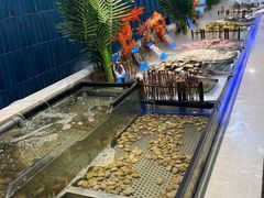 -伍棵煋炭烤自助料理·烤鳗鱼(浦东食品城店)