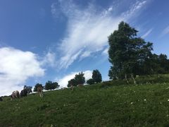 -北京灵山风景区