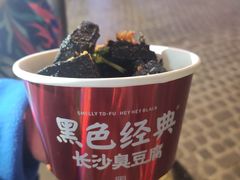 -黑色经典臭豆腐·湖南特产(坡子街店)