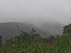 -南京市无想山景区