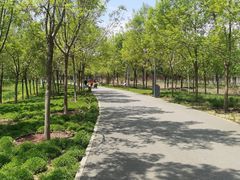 -东郊湿地公园