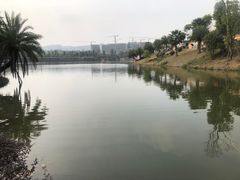 -枫香湖儿童公园