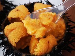 -海胆小馆(东北水饺·春柳店)